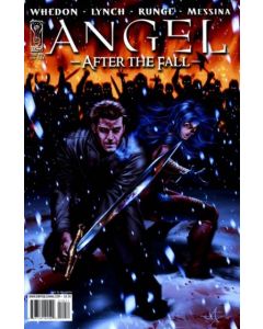 Angel After the Fall (2007) #  10 COVER B (8.0-VF)