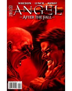 Angel After the Fall (2007) #  11 Cover B (8.0-VF)
