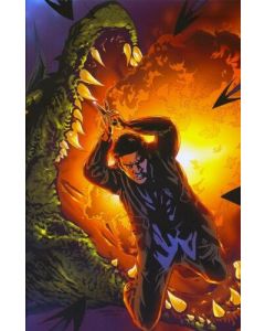 Angel After the Fall (2007) #  11 Cover RI-A (9.0-VFNM)
