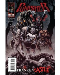 Punisher (2009) #  12 (8.0-VF)