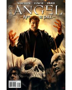 Angel After the Fall (2007) #  15 Cover A (9.0-VFNM)