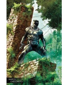 Black Panther (2016) # 170 Cover D (8.0-VF) Young Guns Variant