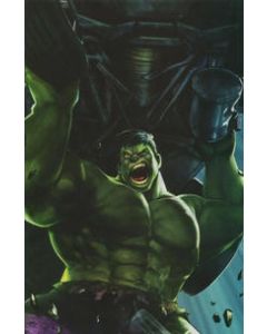 Immortal Hulk (2018) #  17 Cover B (8.0-VF)