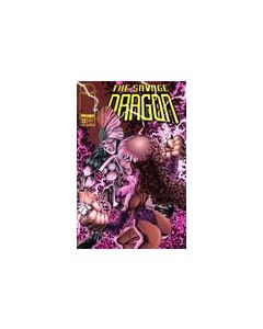 Savage Dragon (1993) #  23 (8.0-VF) She-Dragon
