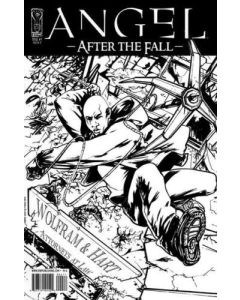 Angel After the Fall (2007) #   4 COVER RI-A (9.0-VFNM)