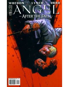 Angel After the Fall (2007) #   5 COVER RI-A (9.0-VFNM)