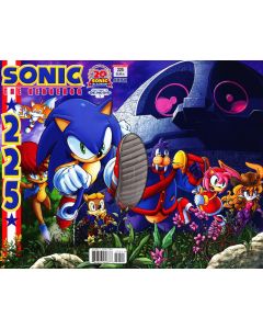 Sonic the Hedgehog (1993) # 225 (7.0-FVF)