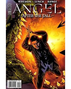 Angel After the Fall (2007) #  11 Cover A (9.0-VFNM)