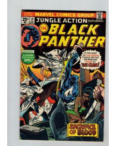 Jungle Action (1972) #  19 (5.0-VGF) (295000) Black Panther, Ku Klux Klan