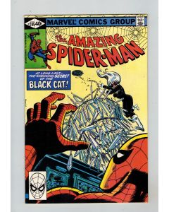 Amazing Spider-Man (1963) # 205 (8.0-VF) (480246) Black Cat