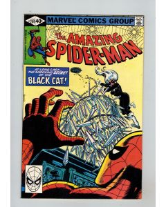 Amazing Spider-Man (1963) # 205 (8.5-VF+) (2460462) Black Cat