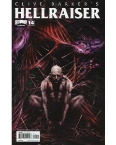 Hellraiser (2011) #  14 Cover B (8.0-VF) (926953)