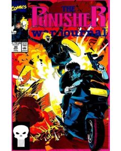 Punisher War Journal (1988) #  30 (8.0-VF) Ghost Rider