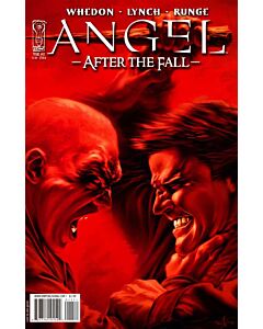Angel After the Fall (2007) #  11 Cover B (7.0-FVF)