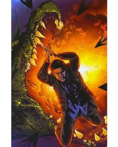 Angel After the Fall (2007) #  11 Cover RI-A (9.0-NM)