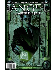 Angel After the Fall (2007) #  12 COVER B (8.0-VF)