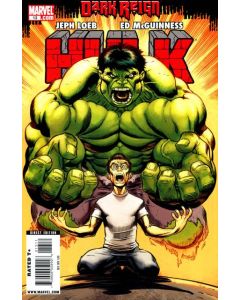 Hulk (2008) #  13 (7.0-FVF) RED HULK