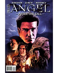 Angel After the Fall (2007) #  14 Cover B (8.0-VF)