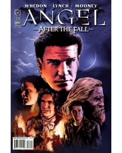 Angel After the Fall (2007) #  14 Cover B (8.0-VF)