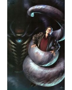 Angel After the Fall (2007) #  14 VIRGIN COVER RI-B (8.0-VF)