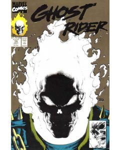 Ghost Rider (1990) #  15 2nd Print (7.0-FVF) Johnny Blaze, Blackout, Glow in the dark cover