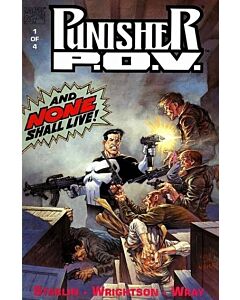 Punisher P.O.V. (1991) #   1 GN (6.0-FN)