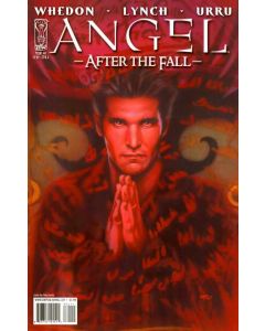 Angel After the Fall (2007) #   1 COVER A (8.0-VF)