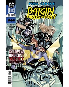 Batgirl and the Birds of Prey (2016) #  22 Cover A (7.0-FVF) Terry Dodson cover, SERIES FINALE