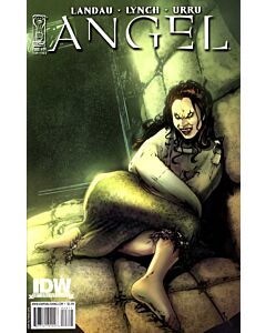 Angel After the Fall (2007) #  24 COVER B (8.0-VF)