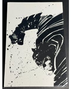 Absolute Batman The Dark Knight Returns HC (2006) #   1 2nd Print (9.0-VFNM) Slipcase