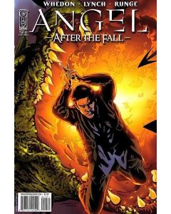 Angel After the Fall (2007) #  11 Cover A (7.0-FVF)