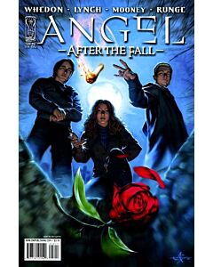 Angel After the Fall (2007) #  12 Cover A (7.0-FVF)