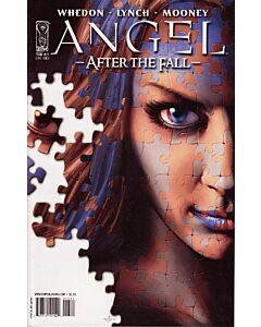 Angel After the Fall (2007) #  13 Cover A (8.0-VF)