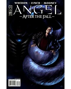 Angel After the Fall (2007) #  14 Cover A (8.0-VF)