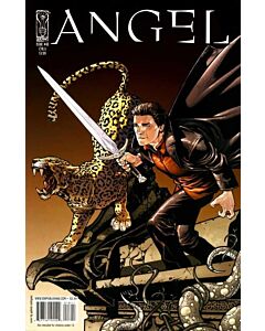 Angel After the Fall (2007) #  18 COVER A (8.0-VF)