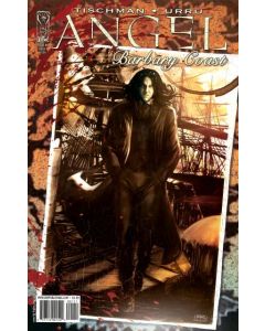 Angel Barbary Coast (2010) #   1-3 A COVERS (7.0-FVF) Complete set