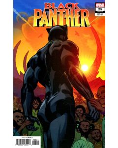 Black Panther (2018) #  25 Cover B (8.0-VF) Brian Stelfreeze Variant
