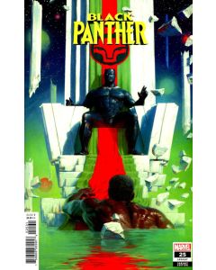 Black Panther (2018) #  25 Cover C (8.0-VF) Sam Spratt Variant