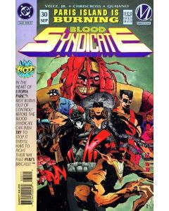 Blood Syndicate (1993) #  30 (6.0-FN)