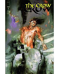 Crow (1999) #   1 (9.0-VFNM) Kent Williams cover