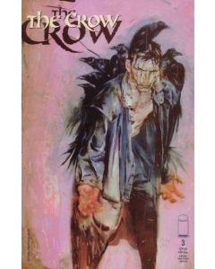 Crow (1999) #   3 (9.0-VFNM) Kent Williams cover