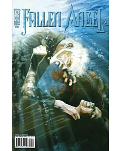 Fallen Angel (2005) #   4 (8.0-VF)