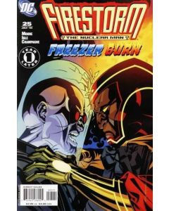 Firestorm (2004) #  25 (8.0-VF) Mr. Freeze Brian Stelfreeze Cover