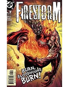 Firestorm (2004) #   7 (8.0-VF)