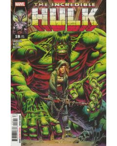 Incredible Hulk (2023) #  18 (9.0-VFNM)