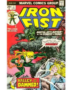 Iron Fist (1975) #   2 (4.0-VG)