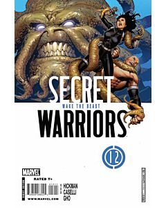 Secret Warriors (2009) #  12 (8.0-VF)