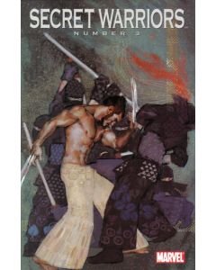 Secret Warriors (2009) #   3 Cover B 1:10 (9.0-VFNM) Dark Reign, Gerald Parel Variant