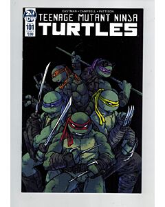 Teenage Mutant Ninja Turtles (2011) # 101 Cover A (7.0-FVF) (1926433)