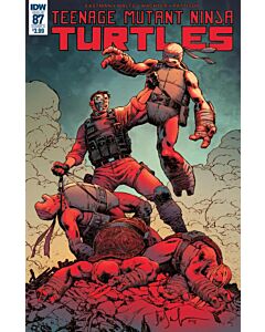 Teenage Mutant Ninja Turtles (2011) #  87 Cover A (7.0-FVF)